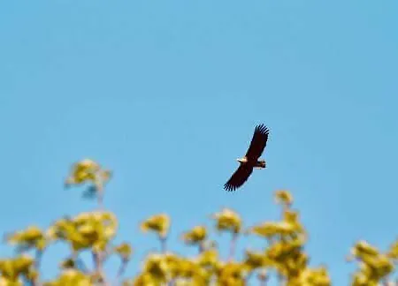 Tatil Evi Ferienhaus-grambzow Grambzow